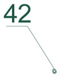 Holzhäcksler COMFORT PLUS CHIPPER 042 / Federscheibe 8